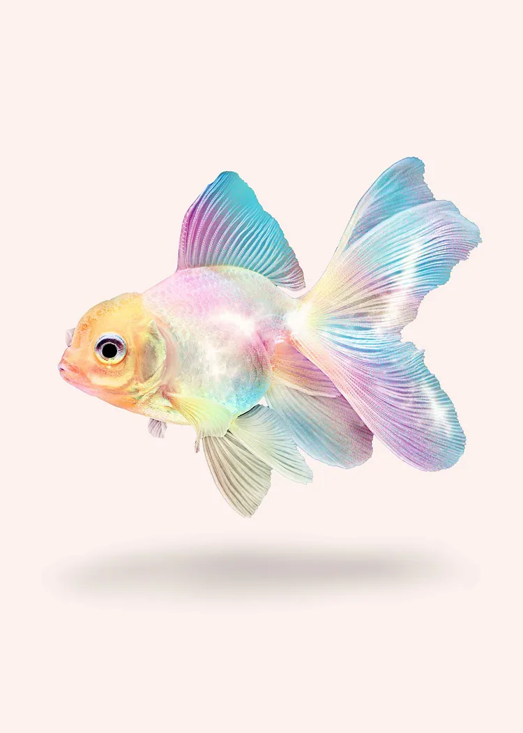 lumi-boards-art-07b4a3d7cbc86569-1.webp LumiPoster — Pastel fish - Image 1