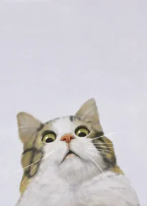 LumiPoster — Cat looking up at the sky