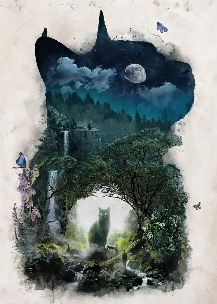 lumi-boards-art-1543bb3e4758b7ab LumiPoster — قطة تحتضن غابة ليلية - الصورة 1