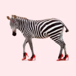 LumiPoster — Zebra with red shoes
