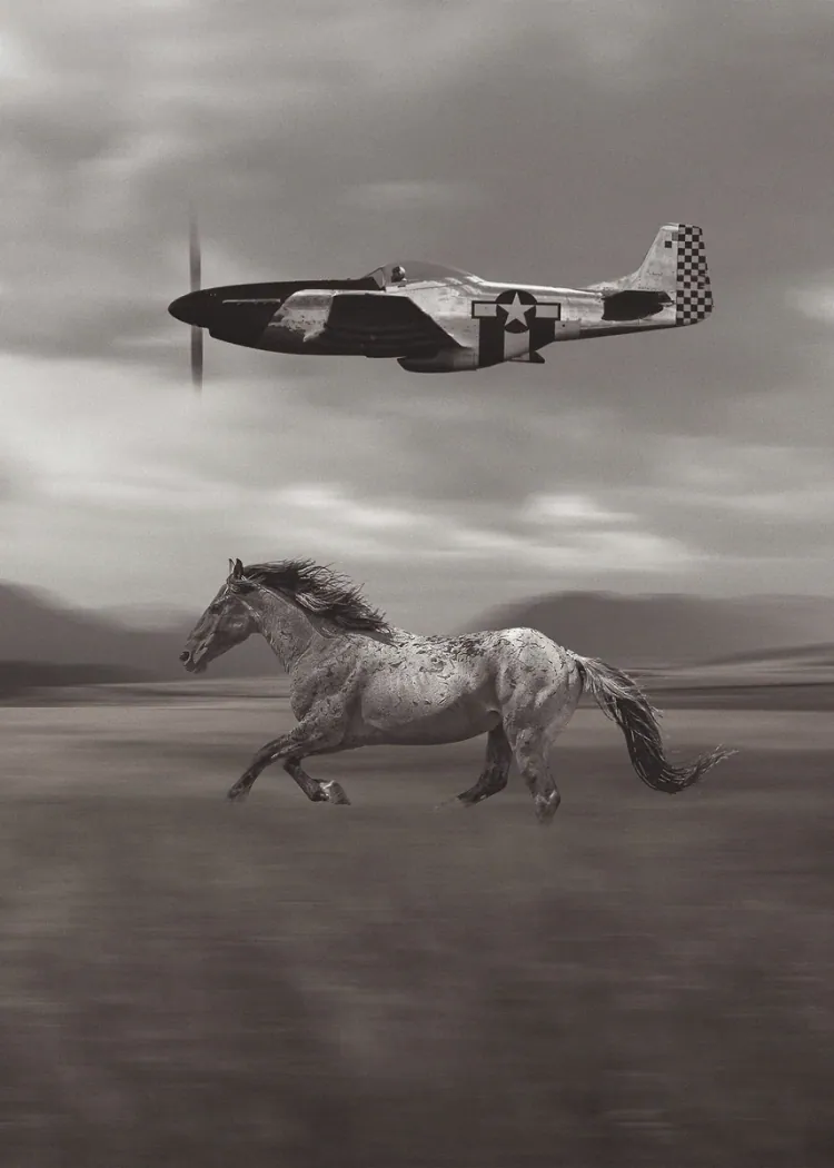lumi-boards-art-1c835be672bac6f1-1.webp LumiPoster — Mustang between earth and sky - Image 1