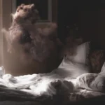 LumiPoster — A surreal dream in a bedroom