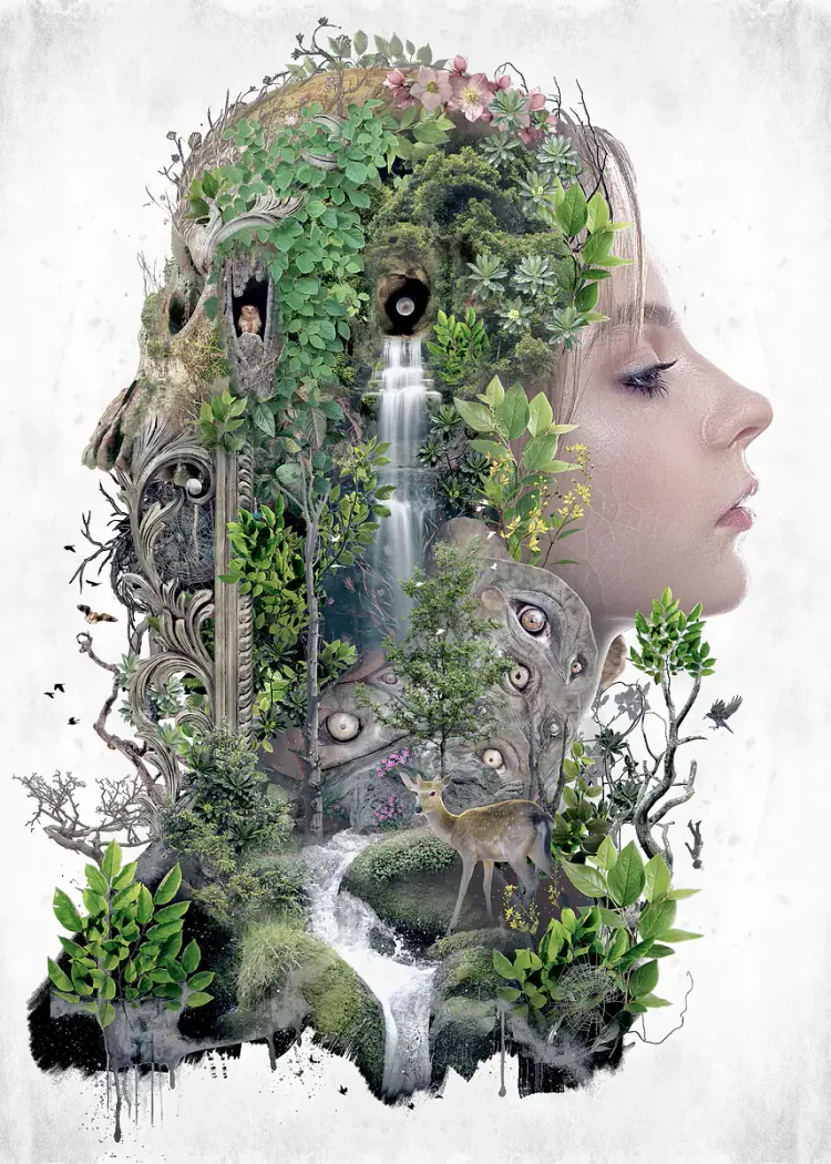lumi-boards-art-22e12aa1b67c603f-1.webp LumiPoster — Portrait of forest and waterfall - Image 1