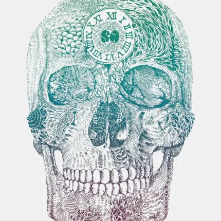 Teal and purple detailed skull with a Roman numeral clock on its forehead