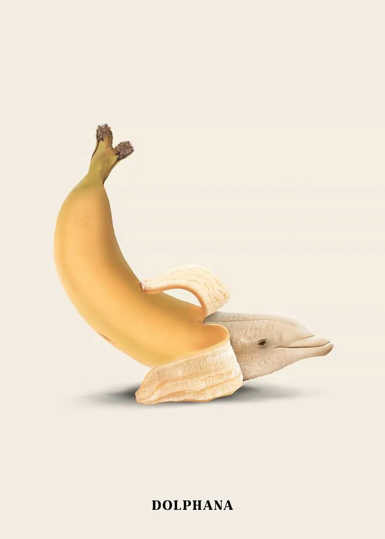 lumi-boards-art-2da1b92f14e79e5e LumiPoster — دلفين الموز - الصورة 1