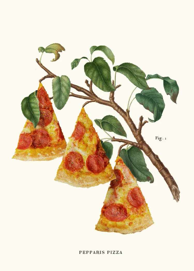 lumi-boards-art-40d5704680702410 LumiPoster — شجرة البيتزا - الصورة 1