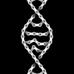 LumiPoster — Bicycle chain — DNA