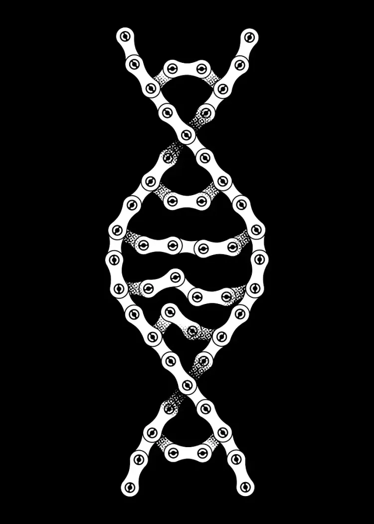 Bicycle Chain DNA Double Helix White on Black Poster White bicycle chain links forming a DNA double helix on a black background