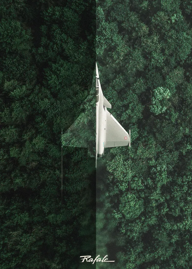 lumi-boards-art-6d4b6f840cf7435b LumiPoster — رافال فوق الغابة - الصورة 1