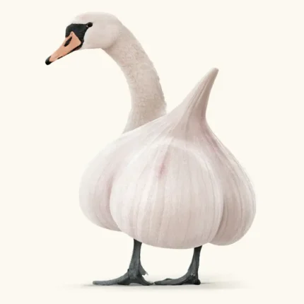 White swan with a garlic bulb body on a cream background captioned Swarlic
