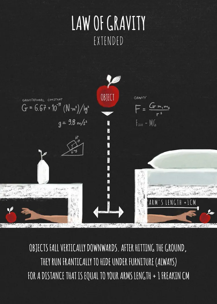 lumi-boards-art-a55f43bde684aee7 LumiPoster — قانون الجاذبية بأسلوب طريف - الصورة 1