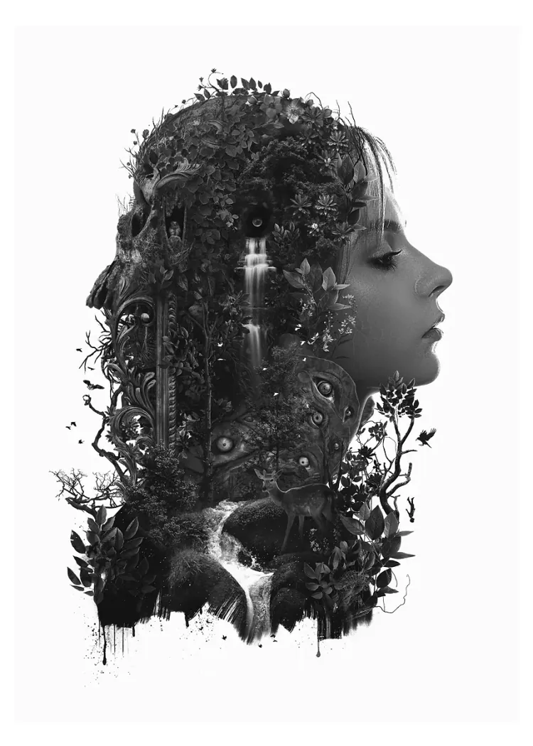 lumi-boards-art-aa7813ccfb7db776 LumiPoster — ملامح من الغابة - الصورة 1