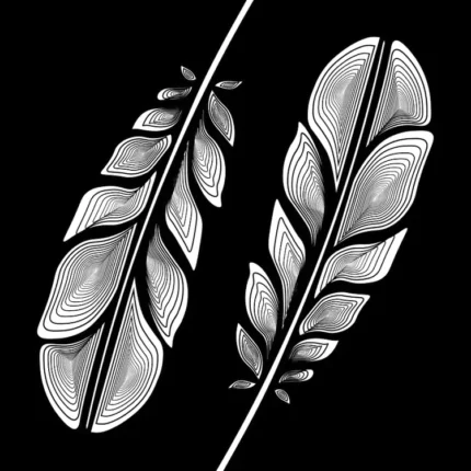 Two white line-art feathers angled diagonally on a solid black background