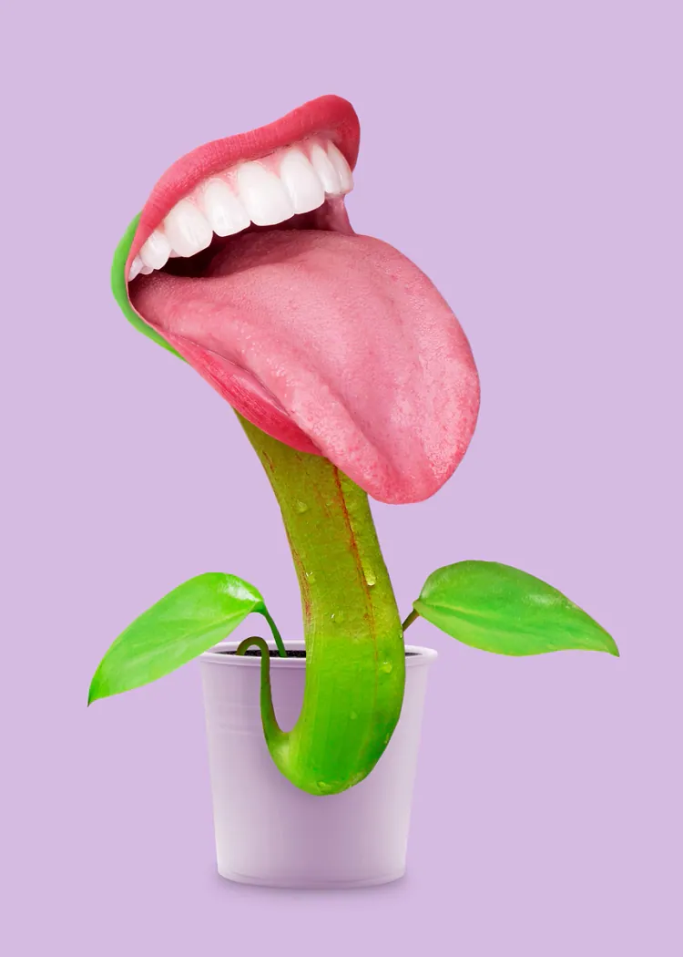 lumi-boards-art-aee78e238172a406-1.webp LumiPoster — A plant with a surreal smile - Image 1