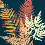 LumiPoster — أوراق سرخس ملونة