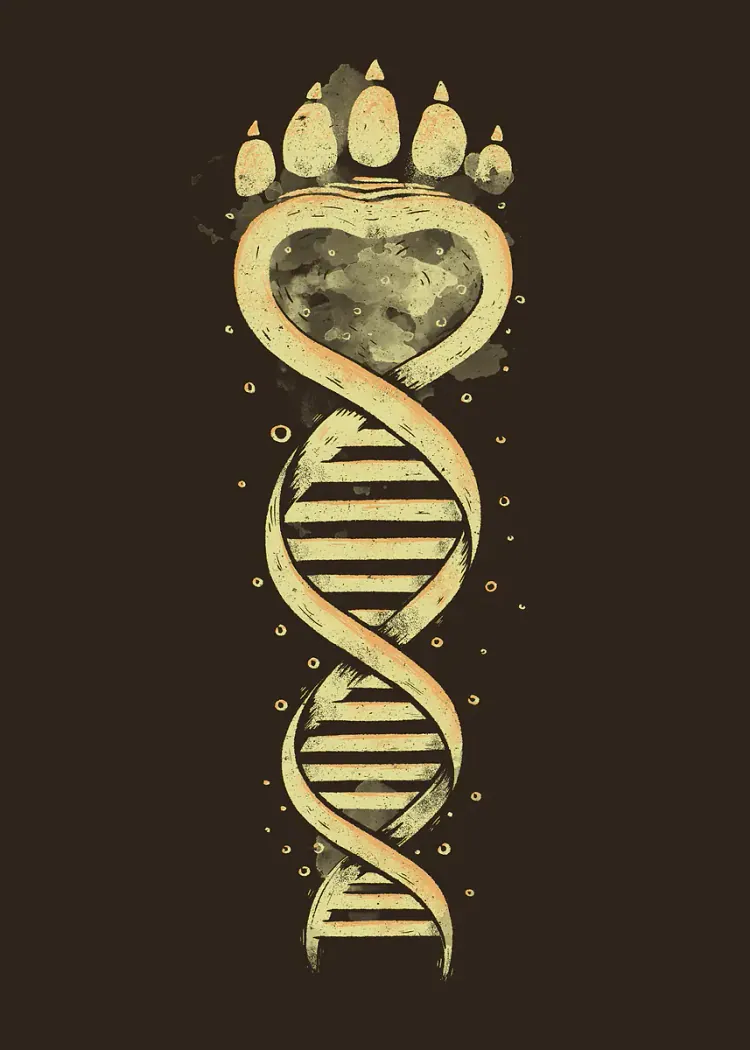 lumi-boards-art-b9aab23efdb33f78-1.webp LumiPoster — Bear print and life bar - Image 1