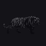 Tiger with faintly lit stripes walking through darkness on a black background