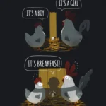 LumiPoster — The story of chicken and breakfast