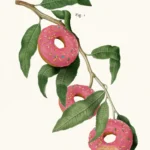 LumiPoster — Donut tree