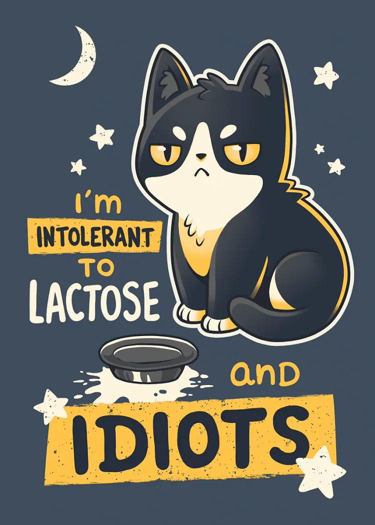 Grumpy Cat Intolerant to Lactose and Idiots Funny Poster Grumpy black and white cat beside an empty dish with the text Intolerant to Lactose and Idiots