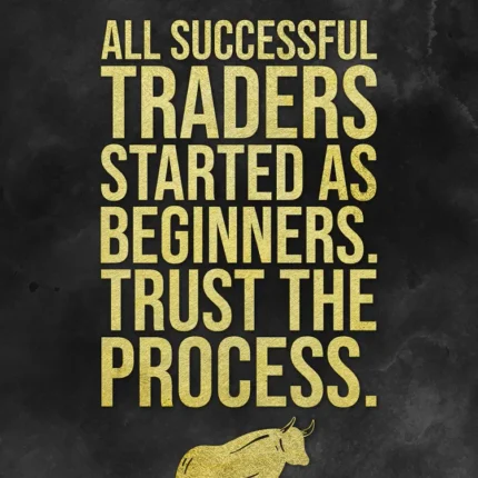 Black poster with gold text all successful traders started as beginners, trust the process