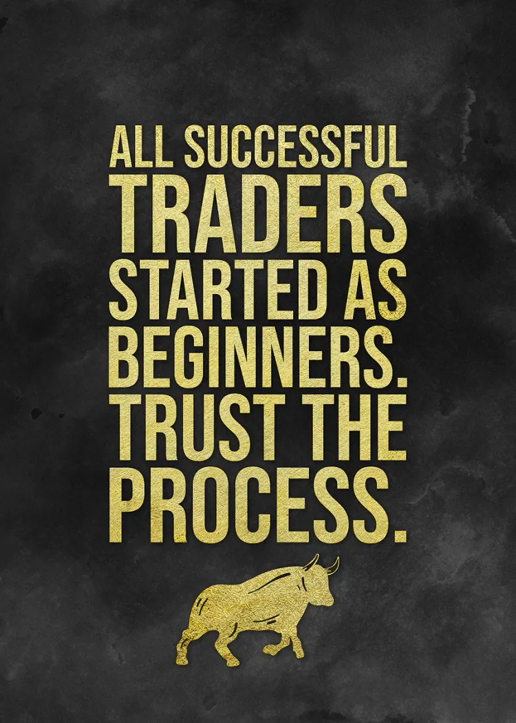 lumi-boards-motivation-a3f2a94dbeaa9ca9-1.webp LumiPoster — Every successful person started as a beginner - Image 1