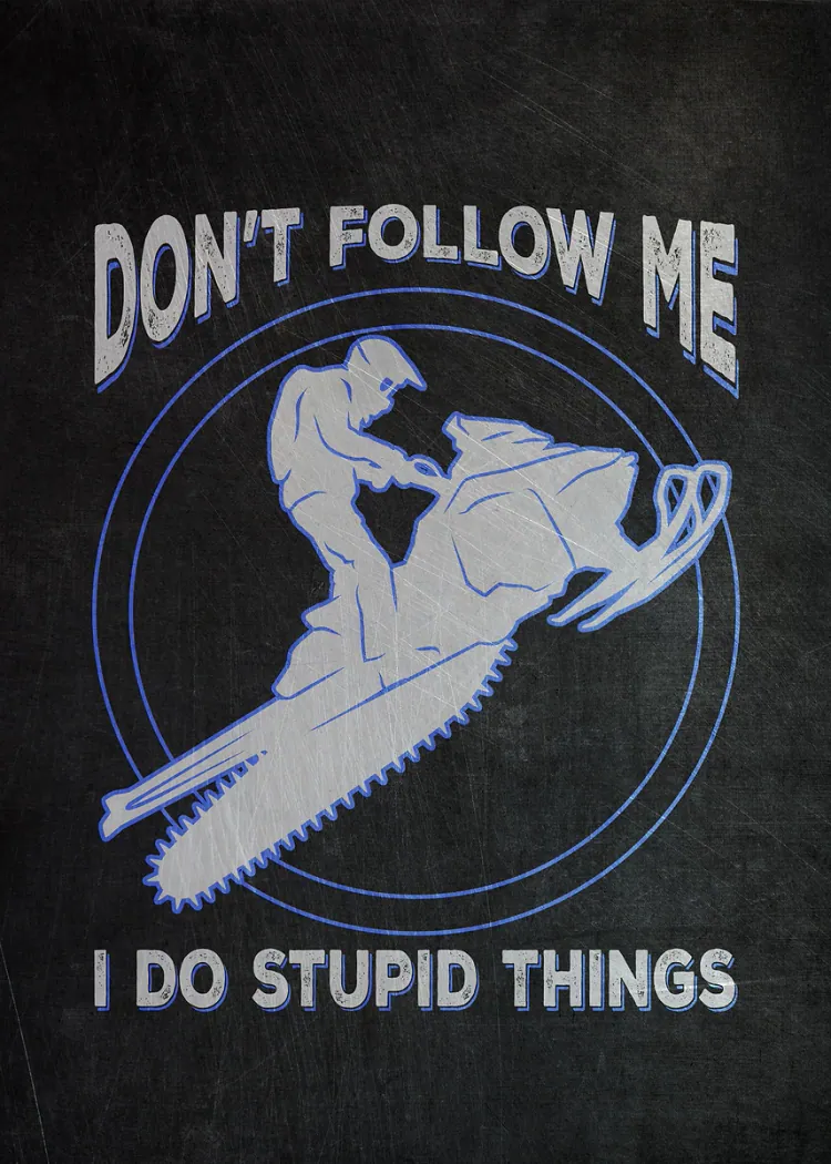 lumi-boards-motivation-ac42c94595e67ccb-1.webp LumiPoster — Don't Follow Me - A Blue Snow Adventure - Image 1