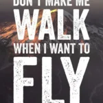 LumiPoster — I want to fly