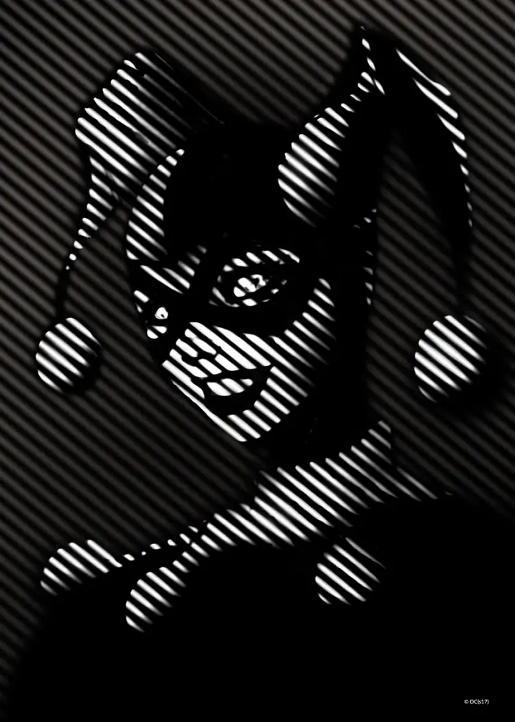 lumi-boards-movies-1a39c47d289b4848 LumiPoster — كاتوومان بخطوط سوداء وبيضاء - الصورة 1