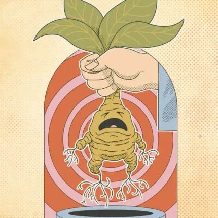 Hand holding a screaming mandrake root with green leaves and the words Bring Earmuffs
