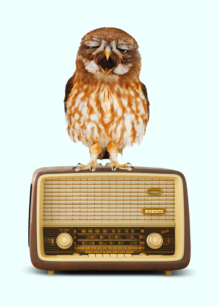 lumi-boards-music-b5b27124aa415432 LumiPoster — بومة فوق راديو كلاسيكي - الصورة 1
